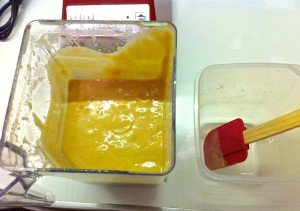 Gelato-fichi-secchi-miele-parmigiano-reggiano3