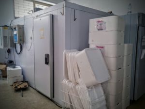 Sherbeth-Festival-Palermo