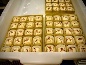 Fabbrica-di-Cioccolato-Domori