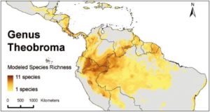 la-fabbrica-di-cioccolato-domori_genetica-cacao