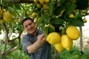 Limone-Costa-di-Amalfi-IGP
