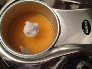 Sorbetto-clementine-IGP